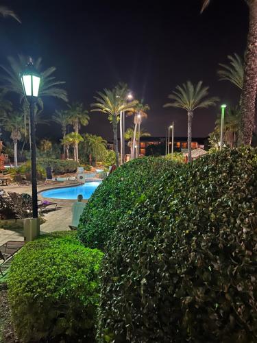 Vashay's Lovely vacation pad at Disney photo 11