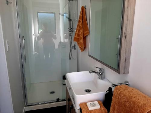 a bathroom with a sink and a shower at Tree View Studio in Tauranga