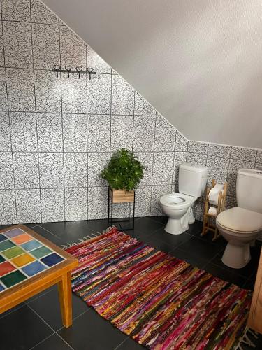 a bathroom with two toilets and a rug at Rakši in Cēsis