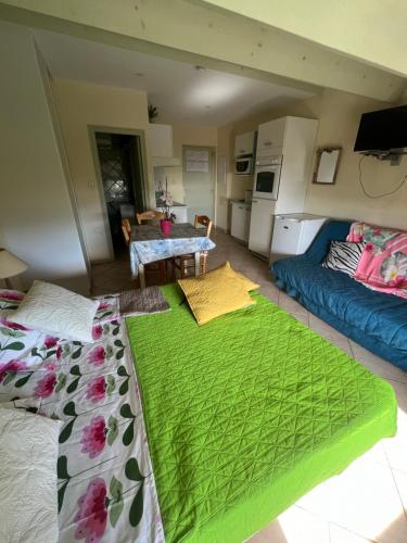 una sala de estar con una manta verde en una cama en vue mer Studio 2/3 pers 1 bed + 1 cot, en Farinole