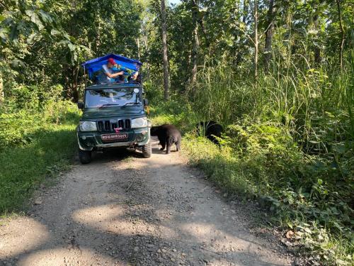 a man and a black bear standing next to a truck at Hotel Safari Suite in Sauraha