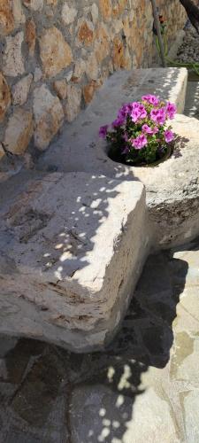 a stone bench with a pot of flowers on it at Casa de Calma in Argostoli