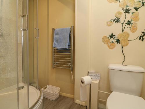 Un baño con inodoro y ducha de cristal. en The Pound, en Minehead