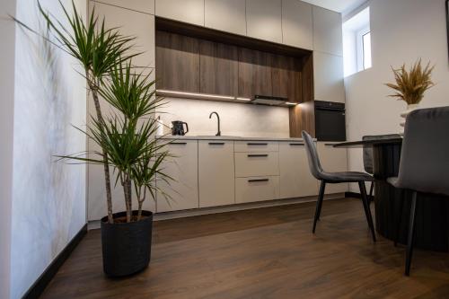 a kitchen with white cabinets and a table with plants at Apartament Prestige in Nowy Sącz