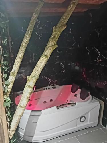 une baignoire rose posée dans une pièce avec des arbres dans l'établissement La Grange de Paul au Domaine du Reuze, à Winnezeele