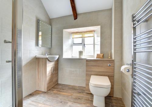 a bathroom with a toilet and a sink and a mirror at Otterbridge in Saint Breward