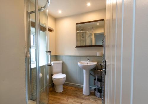 a bathroom with a toilet and a sink and a mirror at Owl Cottage in Llanerchymedd