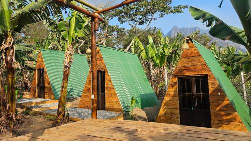 a group of small wooden houses with green roofs at Glamping El Pájarero in San Juan La Laguna