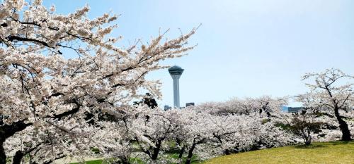 Imagen de la galería de Yunohama Hotel, en Hakodate