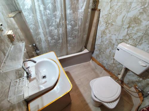 a bathroom with a sink and a toilet at Young Lake Palace Group Of Houseboats in Srinagar
