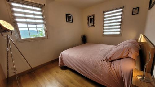 1 dormitorio con 1 cama y 2 ventanas en Appartement Dilece, en Pouzac