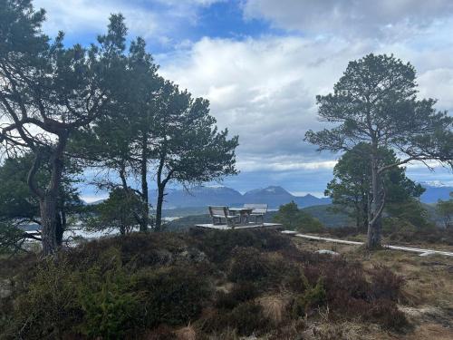 a picnic table on top of a hill with trees at Cozy Retreat in the Heart of Ålesund in Ålesund