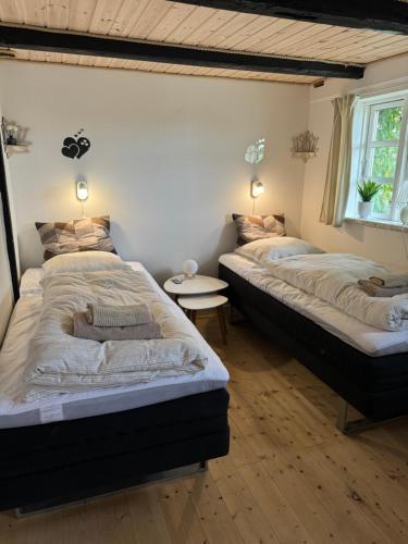 two twin beds in a room with a table at Conedue B&B in Væggerløse