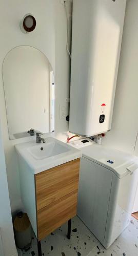 une salle de bain avec un lavabo et un miroir dans l'établissement Maison neuve avec Mezzanine, à Plérin