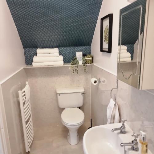a small bathroom with a toilet and a sink at Loch View, Lairg in Lairg