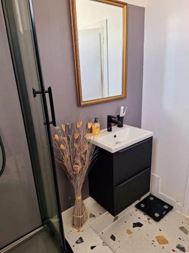 une salle de bain avec un lavabo, un miroir et une douche dans l'établissement Cœur Toulouse Piscine et Spa, à Toulouse