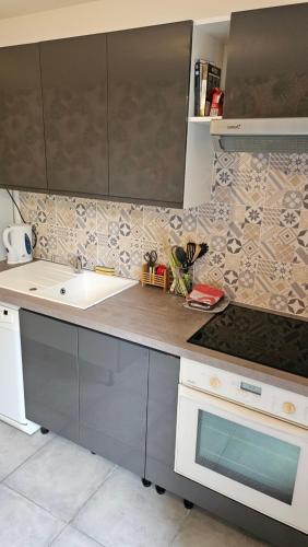 a kitchen with a sink and a counter at Au Champ Fleuri in Bracieux