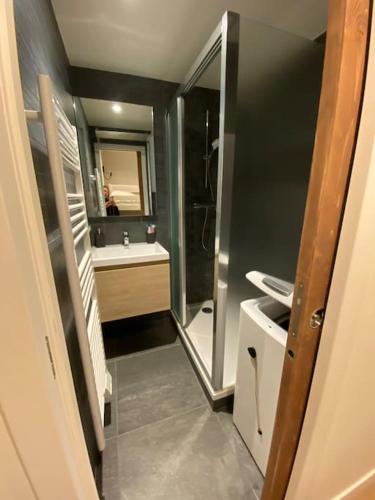 une salle de bain avec une douche, un lavabo et un miroir dans l'établissement Le Gabiott, Appartement neuf pour 4, au pied des pistes à La Rosière, à Montvalezan