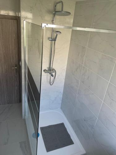 une douche avec une porte vitrée dans une salle de bain dans l'établissement Appartement cité de la gastronomie Dijon, à Dijon