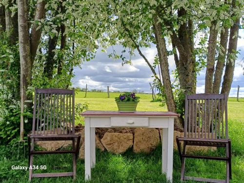 a table and two chairs with a plant on it at Les Chaumes Violettes-Chambres & Table d'hôtes à la campagne, Berry in Cluis