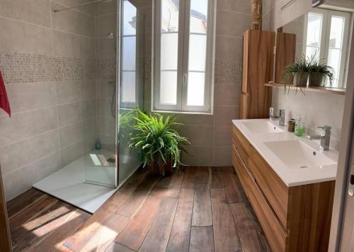 ein Badezimmer mit Dusche, Waschbecken und Spiegel in der Unterkunft Maison de ville avec terrasse in Saint-Denis-dʼOléron