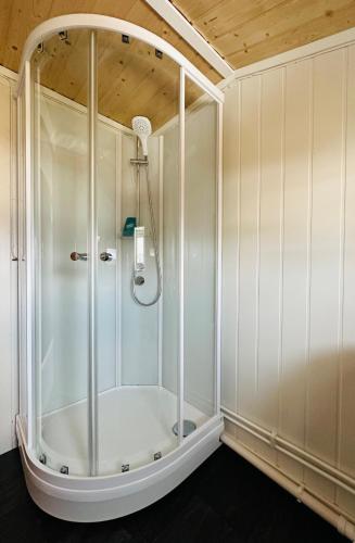 a shower with a glass enclosure in a bathroom at Bugøynes in Bugøynes