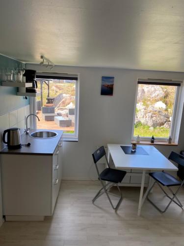 Kuchyň nebo kuchyňský kout v ubytování 1-rom Apartment Sommer - Frøya