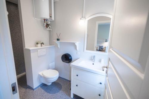 a white bathroom with a toilet and a sink at Danhostel Kerteminde in Kerteminde