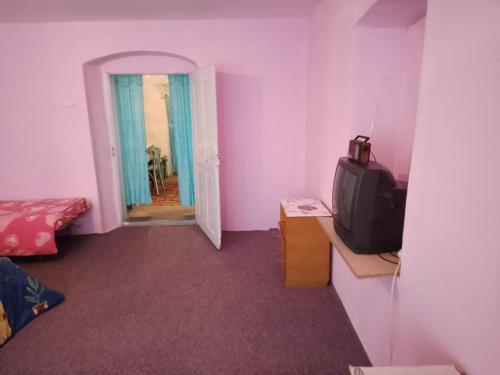a room with a tv and a room with pink walls at Casa la tara Lucia in Eibenthal