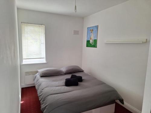 een slaapkamer met een bed in een witte kamer bij Double Room Clontarf House-3 in Dublin