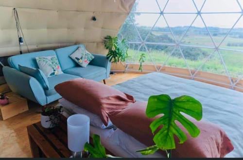 Waipu Off-grid Eco Geodesic Glamping Dome في وايبو: غرفة نوم بسرير واريكة زرقاء