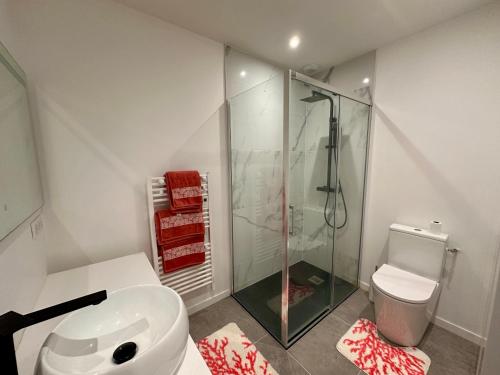 a bathroom with a glass shower and a toilet at Charmant duplex au Pouliguen in Le Pouliguen