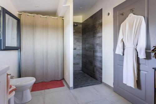 une salle de bain avec douche et toilettes dans l'établissement les coteaux de Proumeyssac, à Audrix