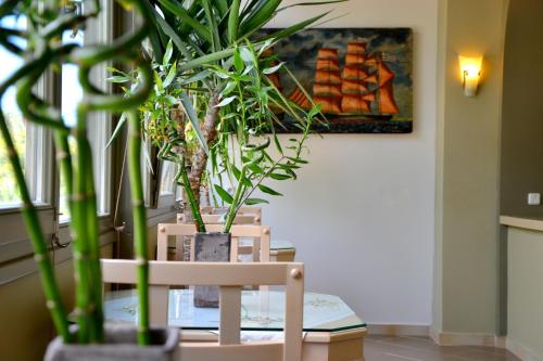 a table with a chair and a potted plant at Zephyros Hotel in Kamari
