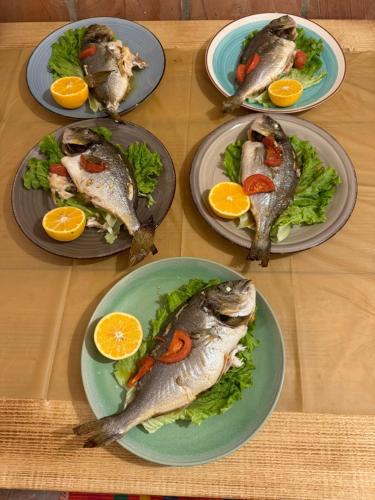 um grupo de pratos de peixe numa mesa em Qyteza Guest House & Camping em Shkodër