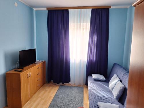 TV a/nebo společenská místnost v ubytování Apartments Slavica