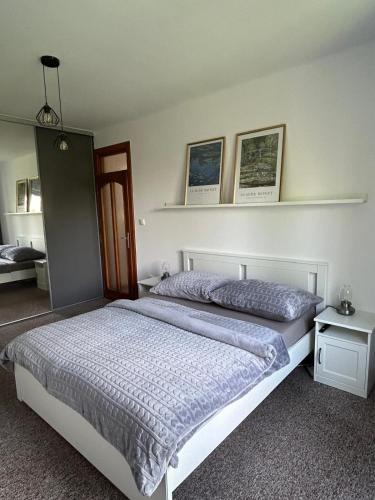 um quarto com uma cama grande e duas prateleiras na parede em Water Lily Apartment em Nivy
