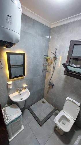 ein Bad mit einem WC und einem Waschbecken in der Unterkunft بورتو سعيد - Porto Said in `Ezbet Shalabi el-Rûdi