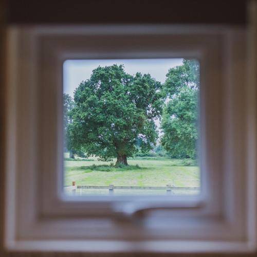 a window view of a tree in a field at The Hideaway at Hidden Wood Glamping in Corsley