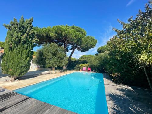 - une piscine dans une villa avec des arbres dans l'établissement Saladjo, au Bois-Plage-en-Ré