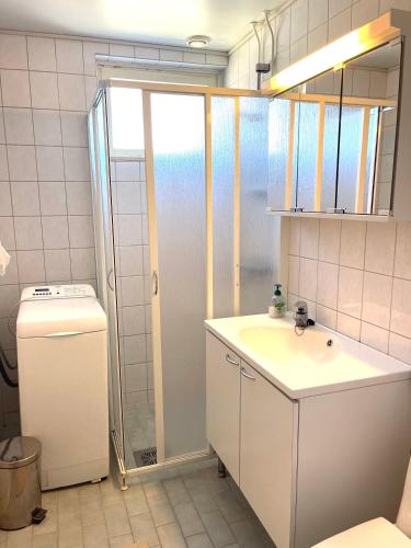 a bathroom with a sink and a shower at Lomarinne2A6 in Ikaalinen