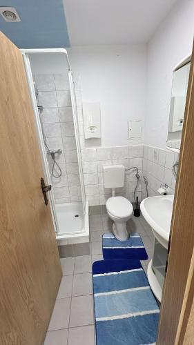 a bathroom with a toilet and a sink and a shower at Berzi Ferienwohnung 2 Görlitz in Görlitz