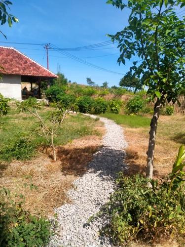 a gravel path next to a house with a tree at Melody Ekas Lombok in Ekas