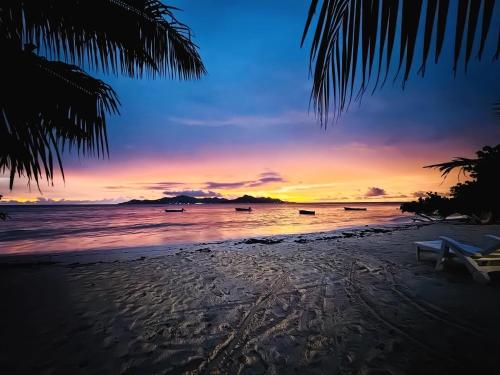 a sunset on a beach with a palm tree at Digwa Beach Chalet in La Digue