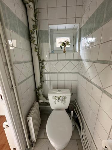 a small bathroom with a toilet and a window at Le coup de c’Heurt duplex 100m de la mer 8 personnes in Le Portel
