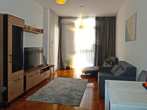a living room with a couch and a television at Apartment Sova in Tivat