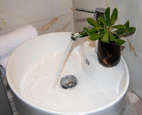 a plant sitting on top of a toilet with a water fountain at 7thHeaven Luxury aprts in Chania Town