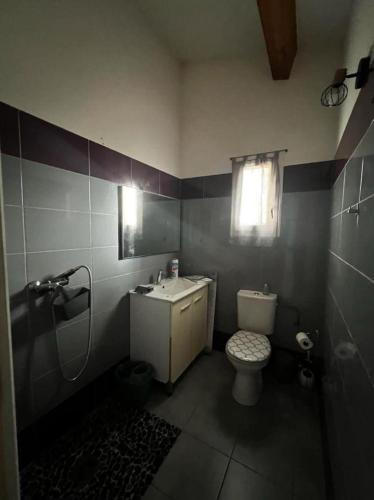 une salle de bain avec toilettes et lavabo dans l'établissement Studio avec jardin privatif, à Porto-Vecchio