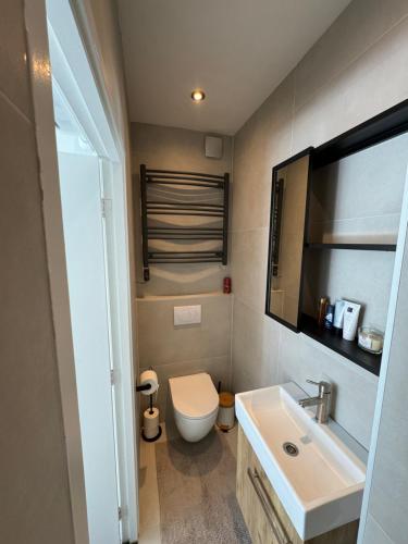 ein Badezimmer mit einem weißen WC und einem Waschbecken in der Unterkunft Tiny Home in Aalsmeer