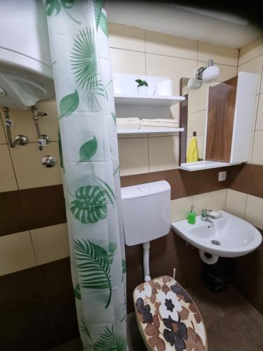 Apartmani Lale i Rada : حمام مع مرحاض ومغسلة